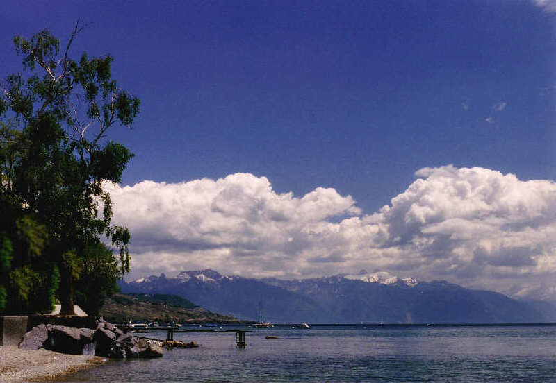 Moutons dans le ciel