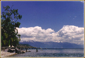 Moutons dans le ciel