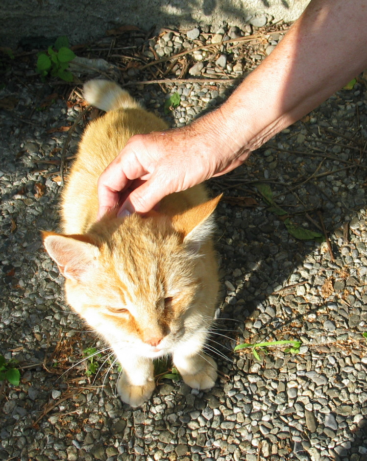 scratch