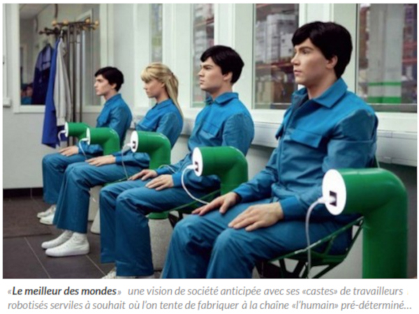 robots humains
