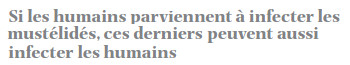 citation