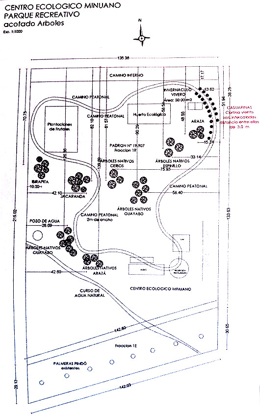 plan arbres