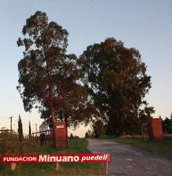 fondation Minuano