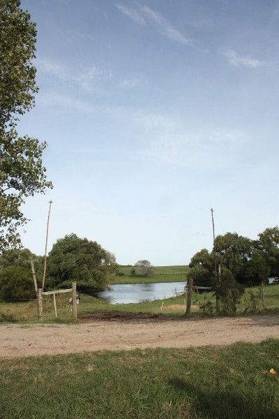 chemin des vaches